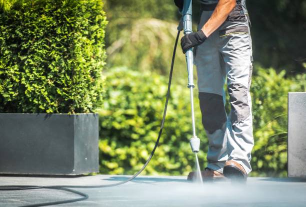 Best Solar Panel Cleaning  in Herricks, NY
